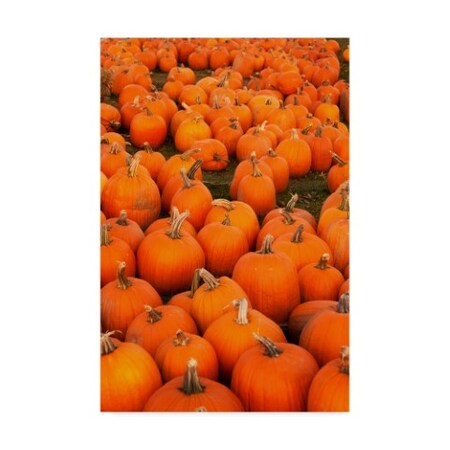 Ata Alishahi 'Pumpkins 2' Canvas Art,22x32